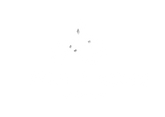 Asim & Sons